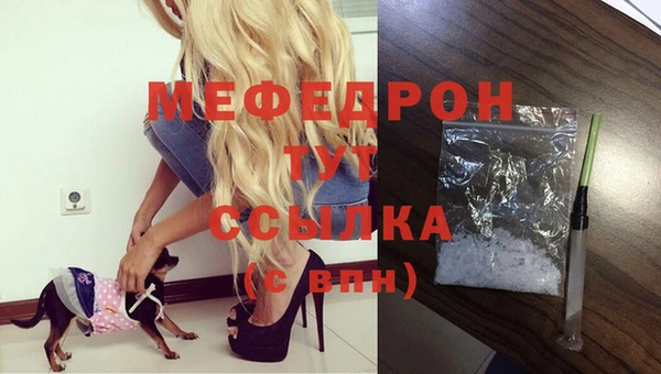 молекула духа Пестово