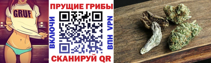 закладка  Петушки  blacksprut вход  Псилоцибиновые грибы ЛСД 