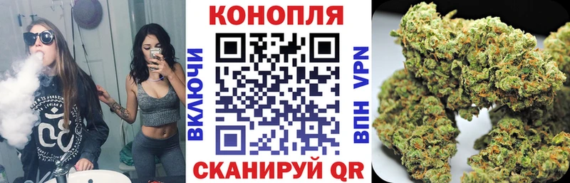 Шишки марихуана план  Петушки 
